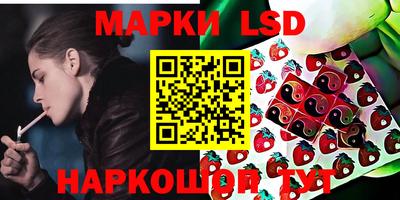 ПСИЛОЦИБИНОВЫЕ ГРИБЫ Краснодар