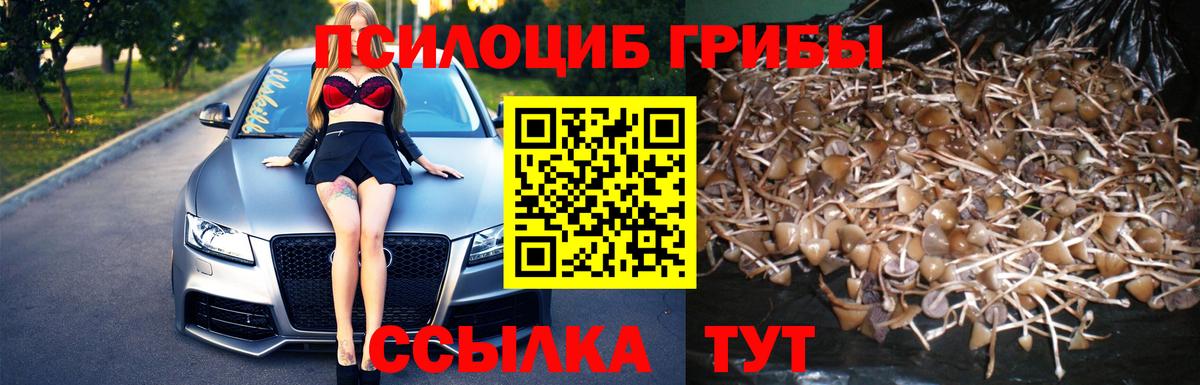 Галлюциногенные грибы Magic Shrooms  Вход с VPN  Донецк 