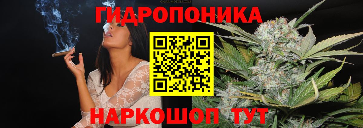Бошки марихуана марихуана  Марихуана план  Донецк  Конопля White Widow  Вход с VPN 